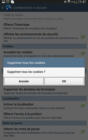 Confirmation de la suppression des cookies de l'application (par défaut) navigateur sous Android