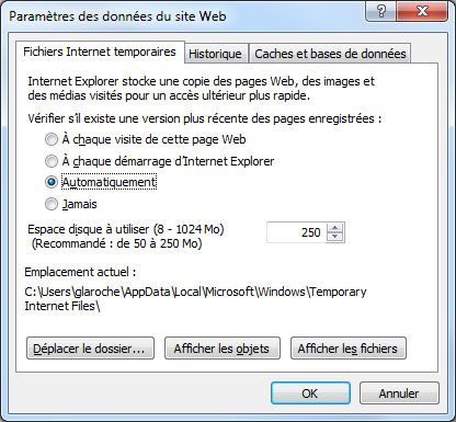 Paramètre des données du site Web d'IE11 sous Windows