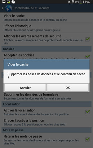 Confirmation de la suppression des données de l'application (par défaut) navigateur sous Android