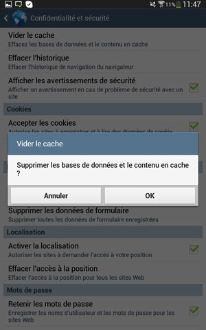 Confirmation de la suppression des données de l’application (par défaut) navigateur sous Android