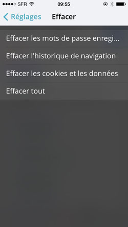 étape 4 : comment vider le cache du navigateur mobile Opera sur iPhone Panneau suppression des données d’Opera sur iPhone