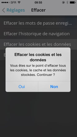 Confirmation de la suppression des cookies et données d'Opera sur iPhone